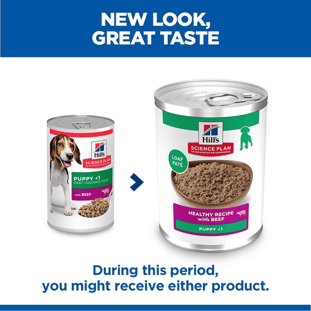 Puppy All Breeds Beef - Can