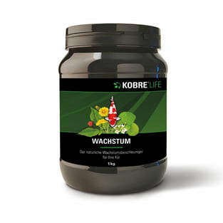 Wachstum