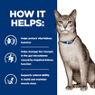 Feline k/d Kidney Care Chicken