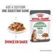 Digestive Care - sachet