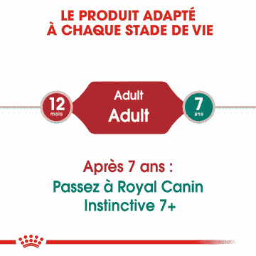 Instinctive mousse - sachet