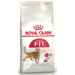 Fit 32 Cat