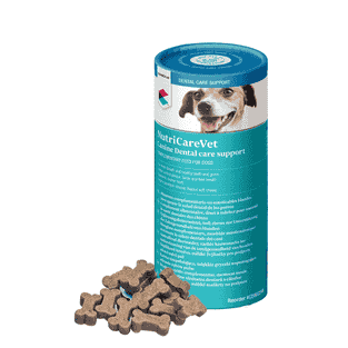 NutriCareVet Dental Care Support Soft Chew
