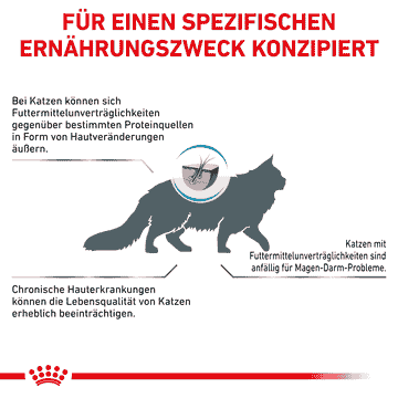 Sensitivity Control Cat