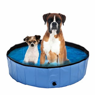 Hundepool Planchi