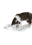Cat Activity Fun Board