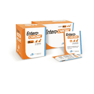 Enterochronic