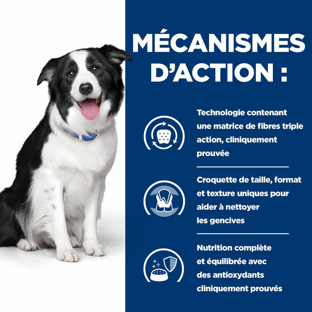 Canine t/d Detal Care