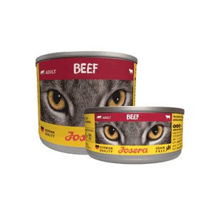 Beef boîte