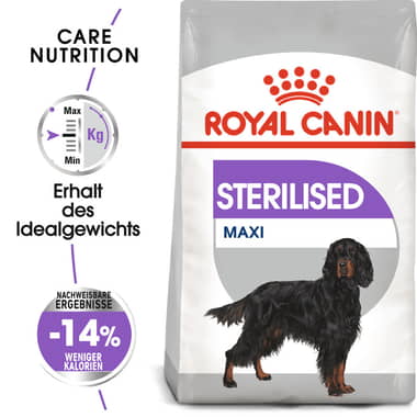 Sterilised Maxi