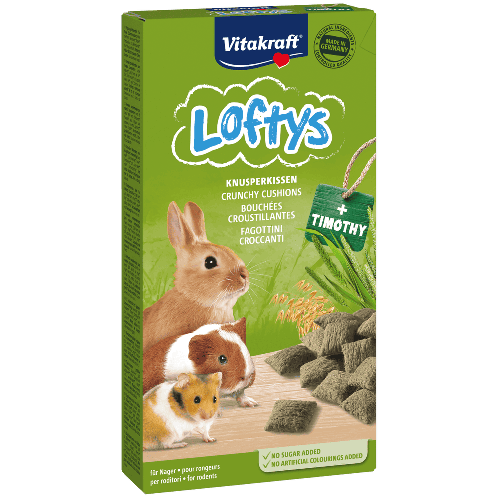 Rodent Loftys Timothy