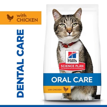 Feline Oral Care