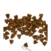 Gastrointestinal Dog Adult