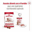 Medium Ageing Loaf - Boîte