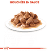 Sterilised en sauce - sachet