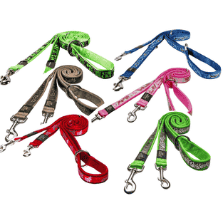 Laisse pour chien Fancy Dress XL