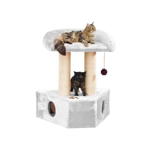 Arbre à chats Samanta