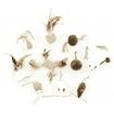 Natur Katzenspielzeug mit Catnip