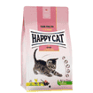 Young Kitten Volaille de campagne