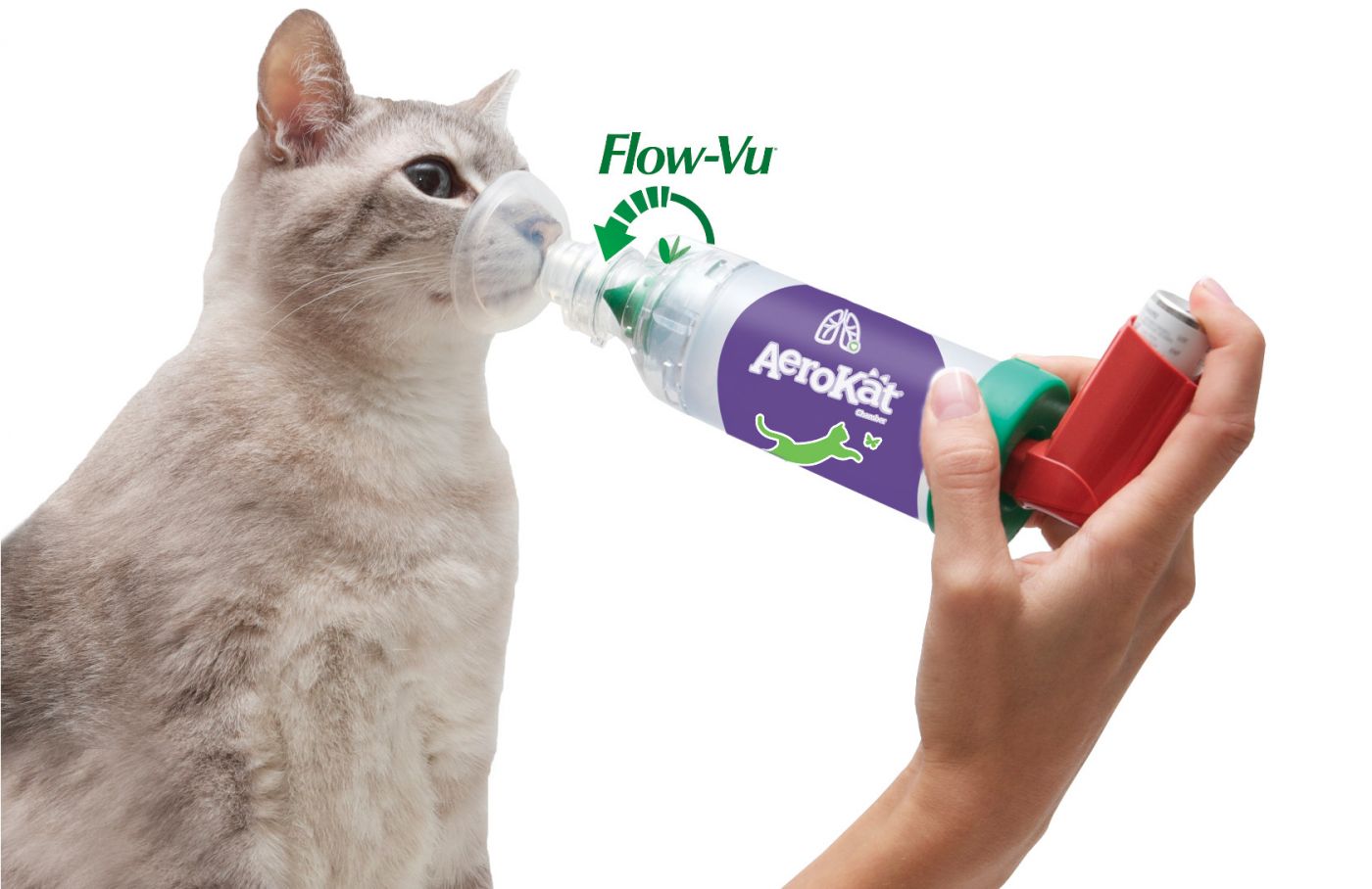Inhalateur pour chats