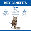 Feline Perfect Weight