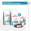Hypoallergenic Snacks