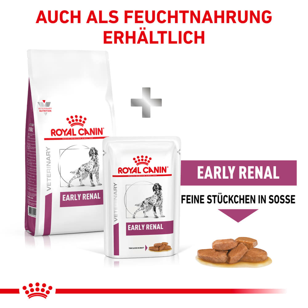 Early Renal Dog