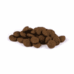 Dog Adult True Fresh - Frischer Truthahn