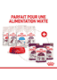 Sensory SMELL (Morceaux en sauce) Sachets