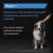 Dog Relax +