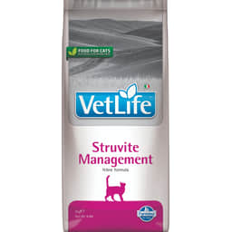 Feline Struvite Management