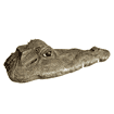 Tête de crocodile flottante