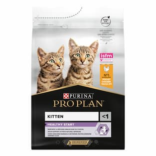 KITTEN Healthy Start
