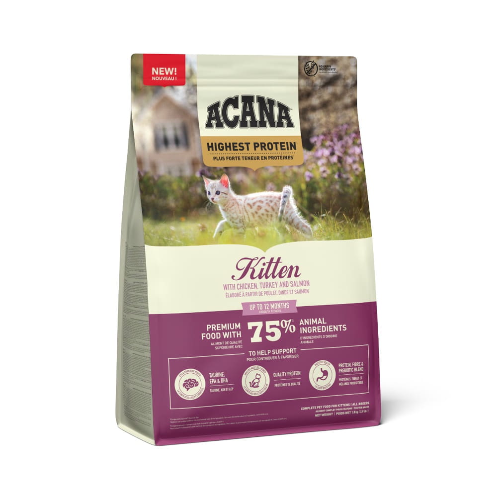 Highest Protein Kitten Grain Free