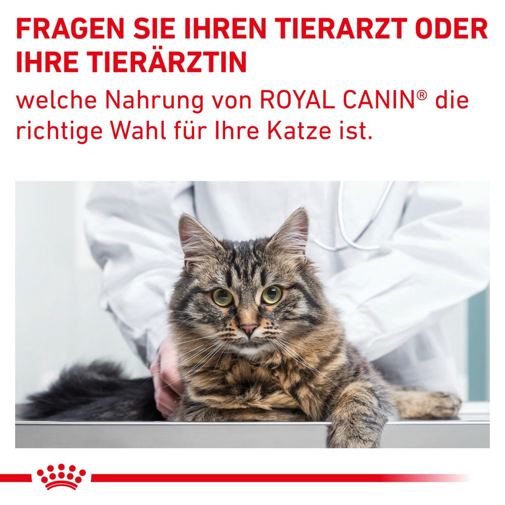 Gastrointestinal Fibre Response Cat