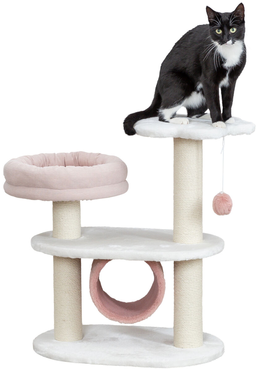 Isabella cat scratcher