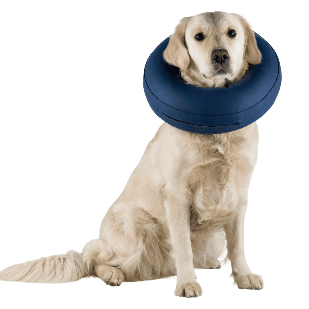 Protective collar, inflatable