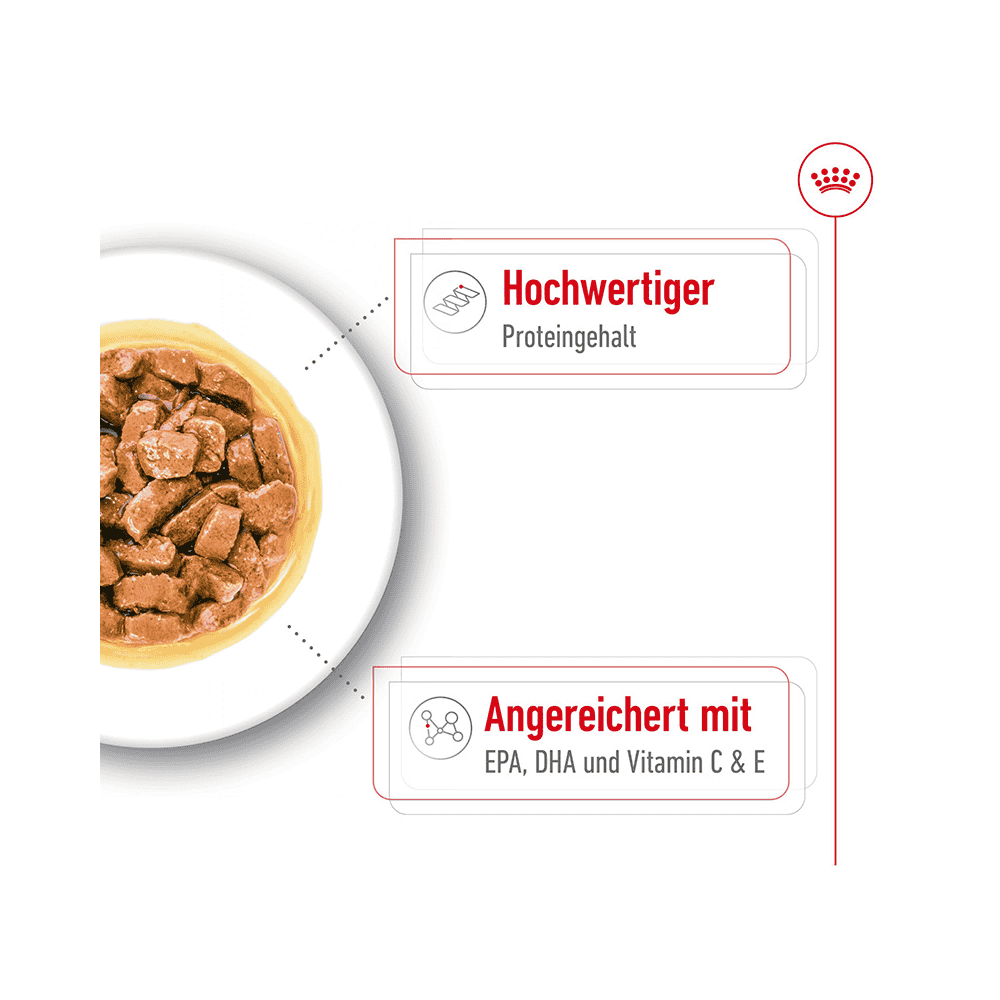 Medium Ageing Gravy - Frischebeutel