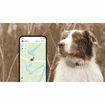 GPS Tracker für Hunde XL