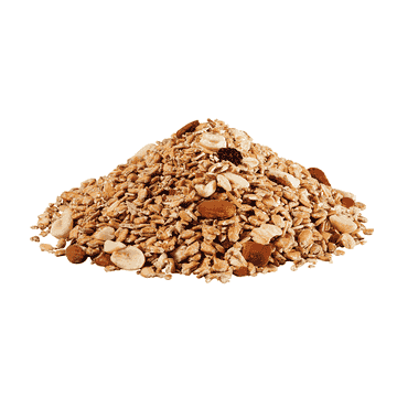 Fat food for wild birds