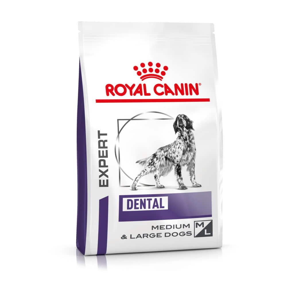 Dental Medium & Large Dogs