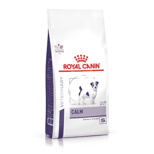 Calm Dog