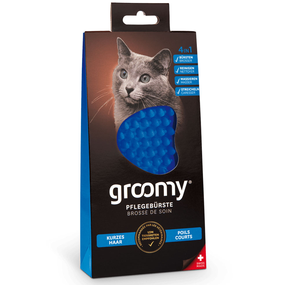 Brosse de soins pour chats