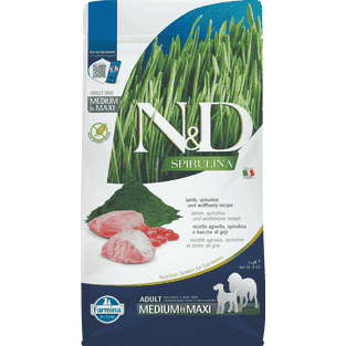Canine Adult Medium/Maxi Lamm & Wolfsbeere