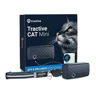 Traceur GPS pour chats