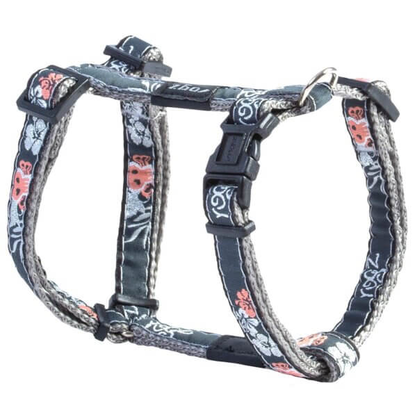 Harnais pour chien Fancy Dress XL