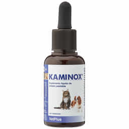 Kaminox