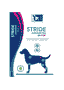 Stride Advanced