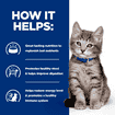 Kitten i/d Digestive Care Chicken