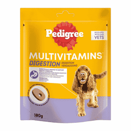 Multivitamins Digestion